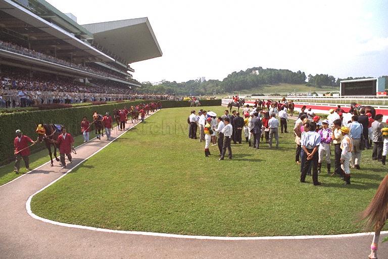 Horses on display before Singapore Gold Cup Race at …