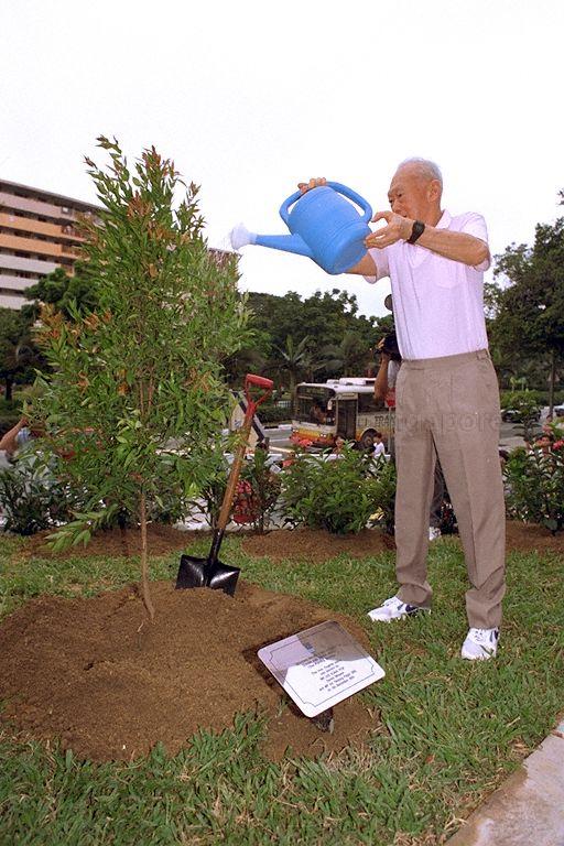 Senior Minister Lee Kuan Yew watering a young Eugenia oleina (a small tree with pinkish leaves) he has planted at Block 133, Jalan Bukit Merah, on tree planting day