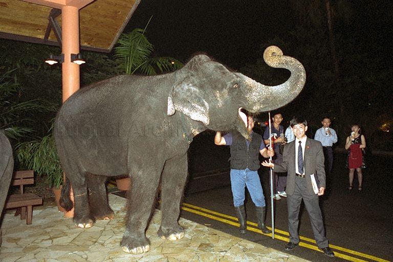 Official and trainer with an elephant at Night Safari during visit of African leaders, who are in Singapore en route to Commonwealth Heads of Government Meeting (CHOGM) in Auckland, New Zealand