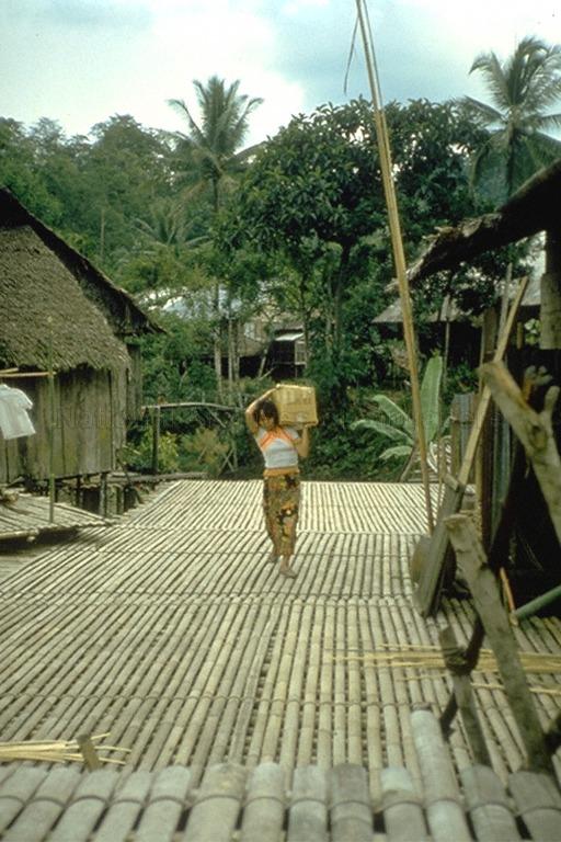 Bamboo walkway at longhouse