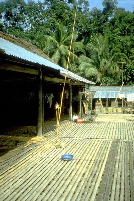 Bamboo walkway at village house