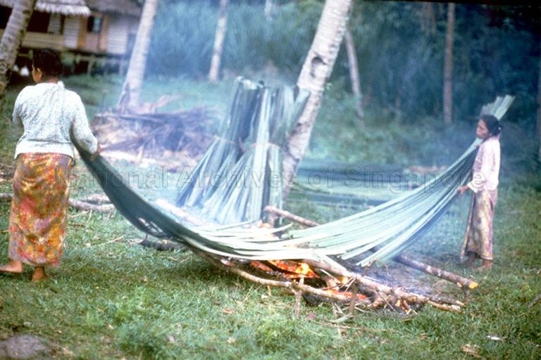 Women drying leaves that will be used to make attap