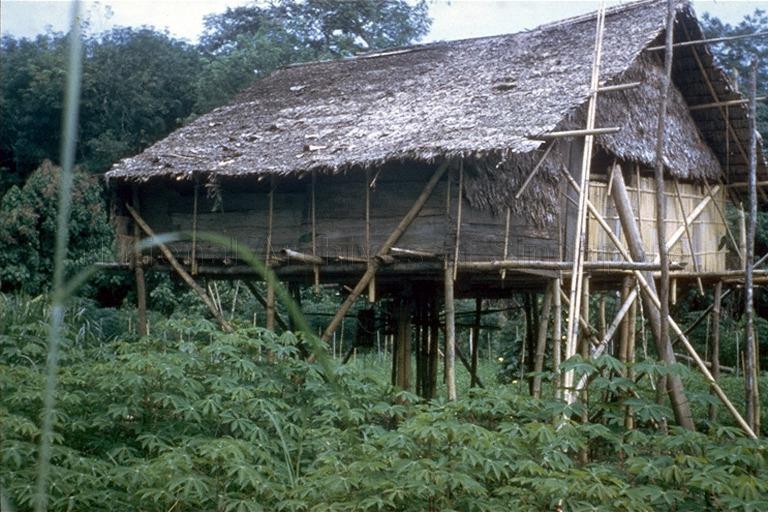 View of a Murut (tribe) longhouse known as the pahun sinompipit