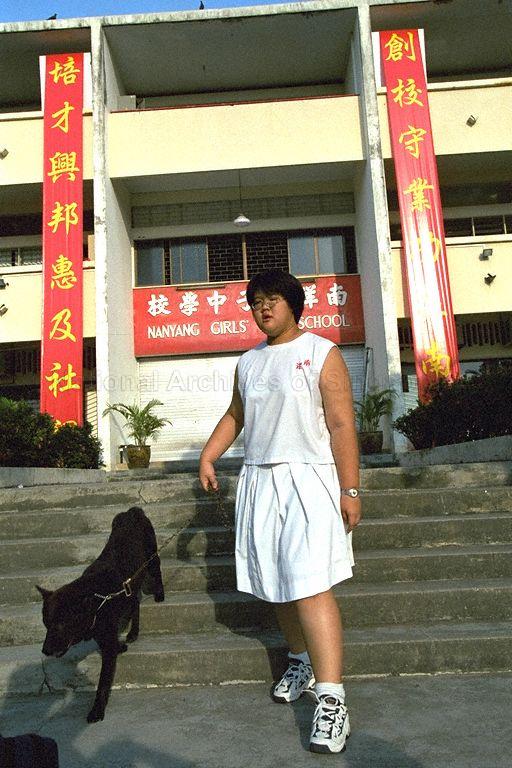 Move of Nanyang Girls' High School from King's Road to Linden Drive - picture of dog leaving old premises