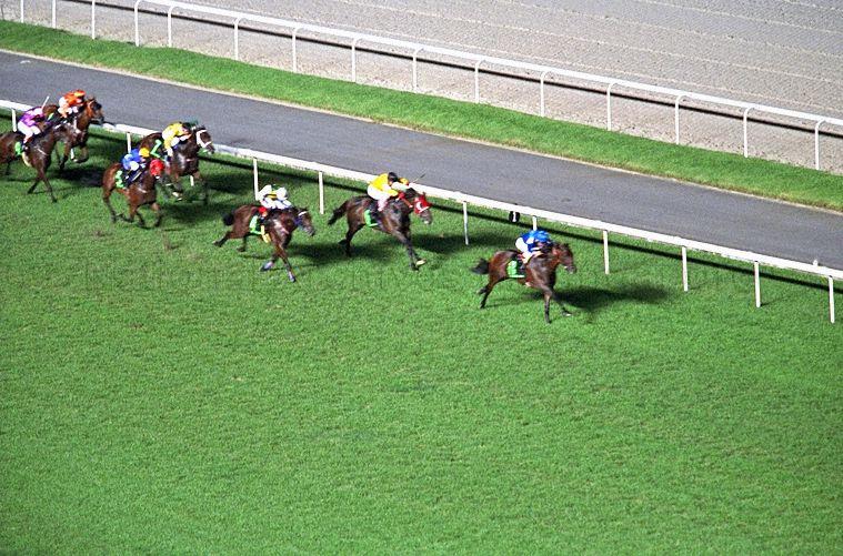 Horse racing at Official Opening of new Singapore Racecourse at Kranji by President S R Nathan and Inaugural Running of Singapore Airlines International Cup, Singapore Turf Club, 1 Turf Club Avenue