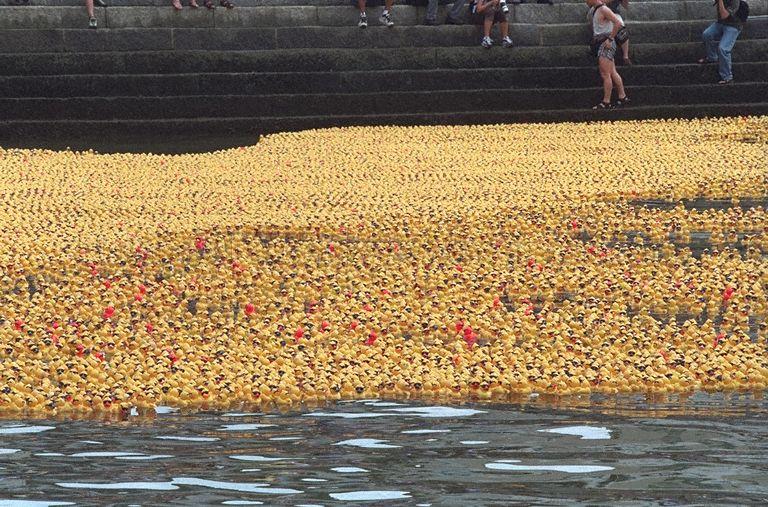 Straits Times Million Dollar Duck Race at the Singapore River. President S R Nathan is guest-of-honour at the race, in which about 100,000 rubber ducks participate and which sets a world record for the number of ducks adopted for a charity race. Proceeds from the race go to Touch Community Services and physical education teacher Abdul Razak wins first prize of $10,000.