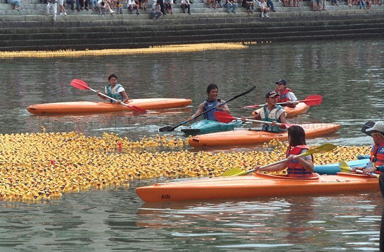 Official canoeists helping to keep the rubber ducks on course in Straits Times Million Dollar Duck Race at the Singapore River. President S R Nathan is guest-of-honour at the race, in which about 100,000 rubber ducks participate and which sets a world record for the number of ducks adopted for a charity race. Proceeds from the race go to Touch Community Services and physical education teacher Abdul Razak wins first prize of $10,000.