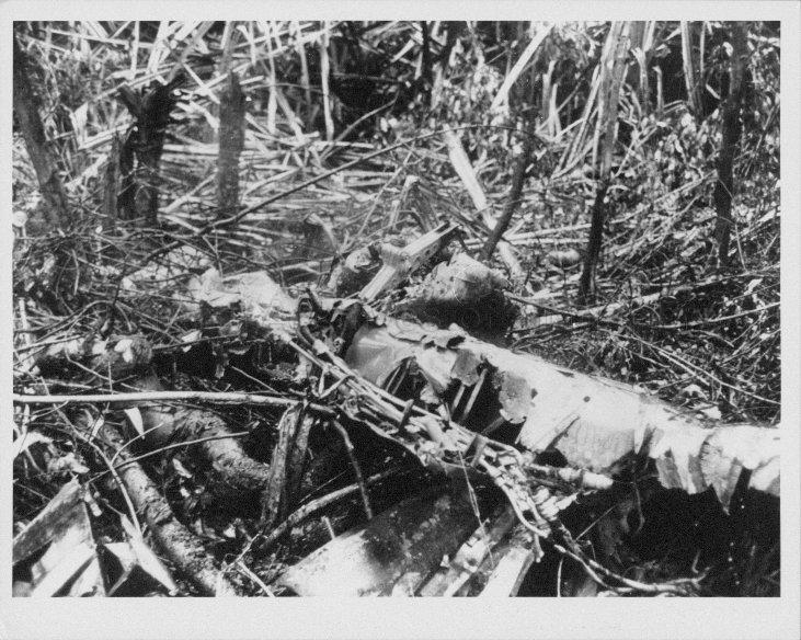 MALAYAN CAMPAIGN. ALL THE REMAINS OF A JAPANESE PLANE SHOT