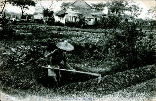 A Chinese farmer working on a vegetable farm, Singapore