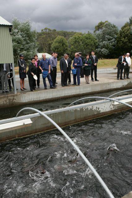 President and Mrs S R Nathan, Acting Second Minister for Finance and Senior Minister of State for Foreign Affairs Raymond Lim Siang Keat (on President's right) and other members of Singapore delegation touring Tassal's Trout and Salmon Hatchery, Russell Falls, Tasmania during President and Mrs S R Nathan's six-day official state visit to Australia from March 13th to 18th