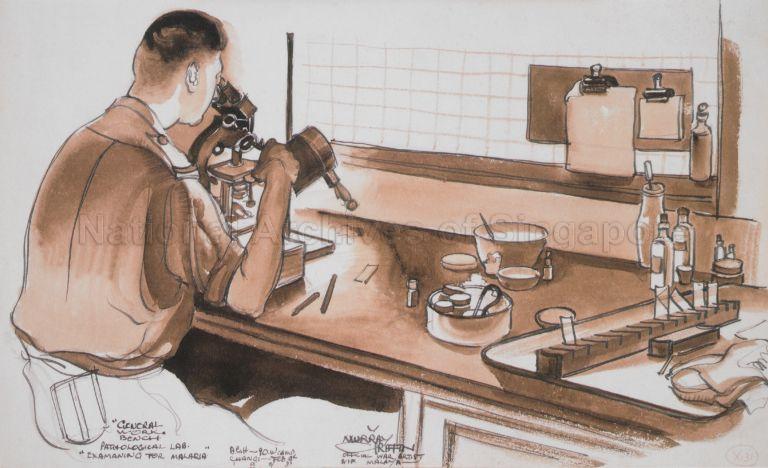 Drawing by Murray Griffin, featuring member of the Australian Army Medical Corps examining specimen for malaria at hospital in Roberts Barracks, part of the collection of prisoner of war (POW) camps in Changi