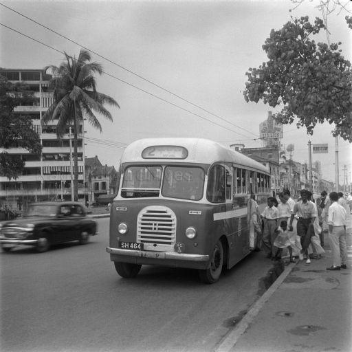 Changi Bus Company Fargo Kew Bus at Pickering Street on strike service