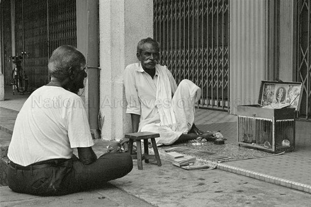 Indian fortune teller with his bird in a cage which is used to help him pick up cards to tell fortune