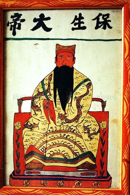 Picture of Bao Sheng Da Di - deity of medicine