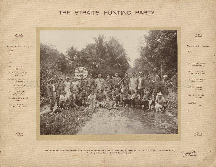 Group photograph of the Straits hunting party and the tiger hunted by them at Choa Chu Kang Village. Standing from fifth left, Gay Ah Leck, Goh Teck Mong, Low Peng Hoe (President), Sok Eng Bock (Secretary), Tan Tian Quee (Vice-President), Ng Cheng Kiang (member), Koh Cheon Chai (lorry driver) and seated from third left Tan Hong Gin (Superintendent), Tan Ah Ngan (volunteer beater), Ong Kim Hong (successful shooter), Tan Ah Mui (Chan Ah Mui), Sim Yeow Lim, Mahally (tracker) with other beaters. The tiger was shot by Ong Kim Hong in the jungle at the 16th Milestone of Choa Chu Kang Village. The tiger weighed 213 katis and measured 8 feet 6 inches from tip to top.