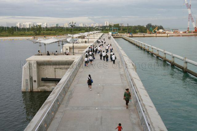 View of Marine Barrage