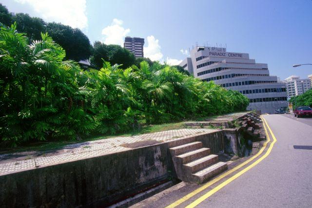 Kirk Terrace with Paradiz Centre in background