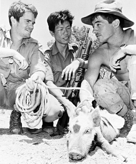 Defence - Australian army - Soldiers from Singapore, Australia and US take part in Exercise Gulf Stream, North Queensland, 1980