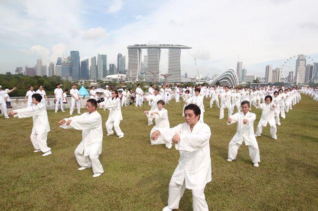 Taiji display by practitioners from Taoist temples in Singapore at Marina Barrage Green Roof during Inter-Religious Organisation Day, which is held in conjunction with World Water Day