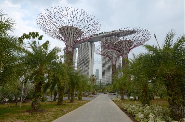 Gardens by the Bay at 18, Marina Gardens Drive - Golden Garden