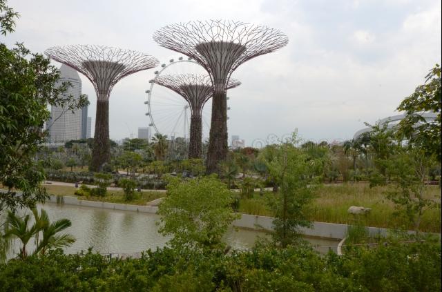 Gardens by the Bay at 18, Marina Gardens Drive - View of Dragonfly Lake
