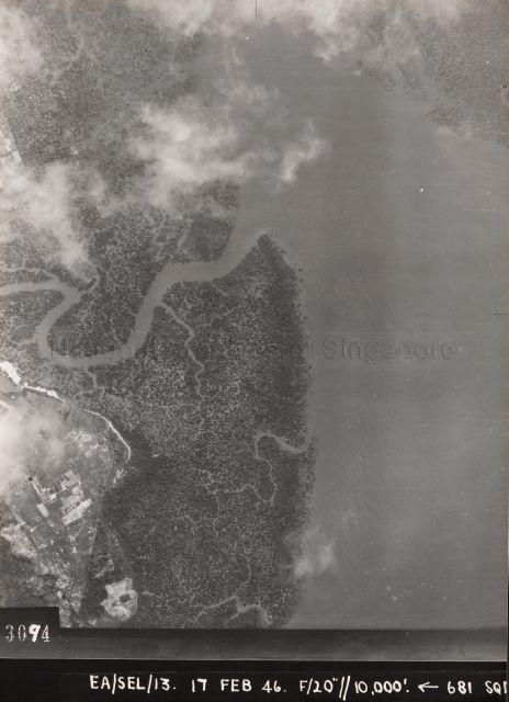 Aerial Photo showing the mangrove forests around the Sungei Serangoon estuary. The creek with the big bend, which empties into the Serangoon estuary is Sungei Blukar.
