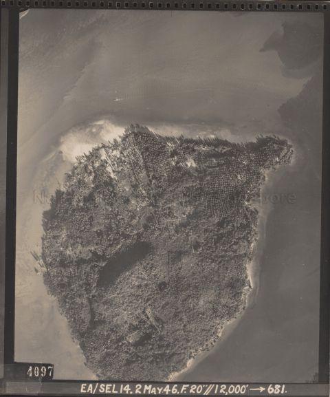 Photograph shows Pulau Tekong Kechil. The symmetrically arranged grid patterns on the island are palm trees, which could mean these are oil palm plantations.