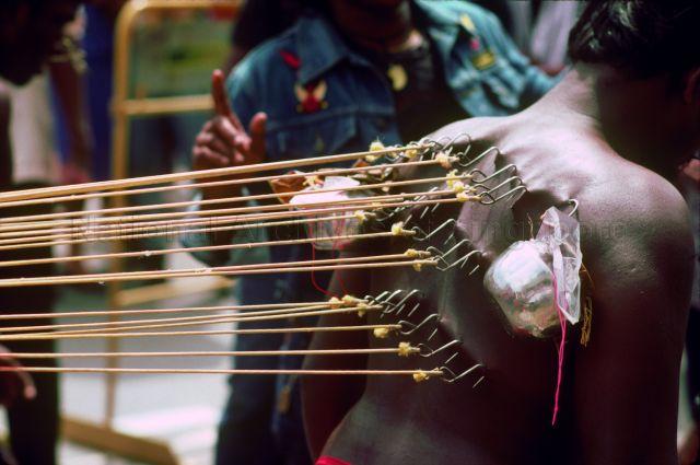 Devotee performing self-mortification during Thaipusam