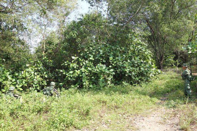 Specialist Cadets undergoing training at Pasir Laba Camp