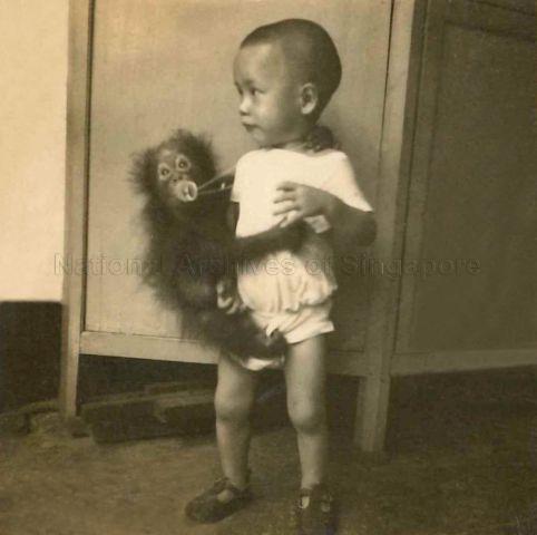 Tong Kok Wing (Tong Seng Mun's son) with a baby orangutan when he was two years old
