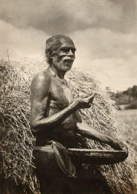 An old Indian man with a white beard holding a basket standing beside a mound of grass<br />