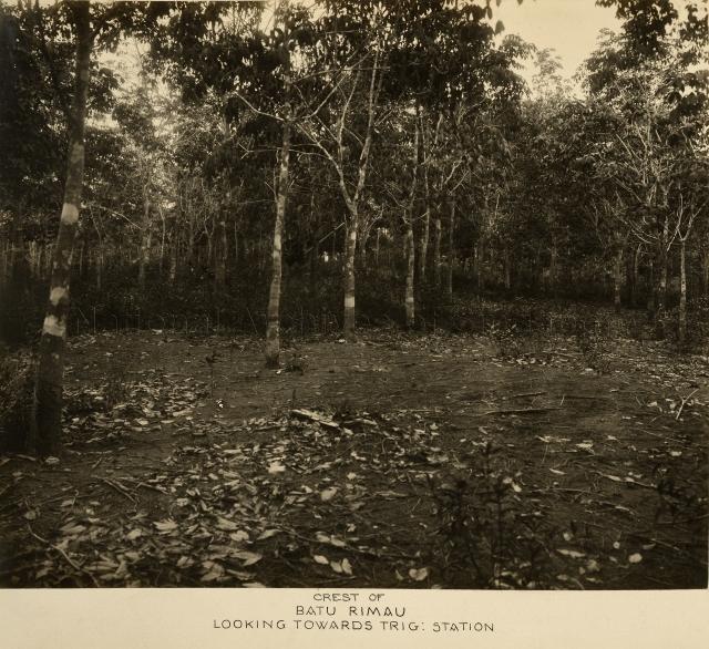 Singapore Naval Base - Crest of Batu Rimau looking towards Trig: Station. View from a different angle.