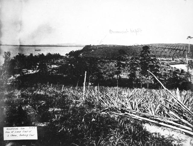 Singapore Naval Base - Woodlands side. View of land East of S. China looking East.