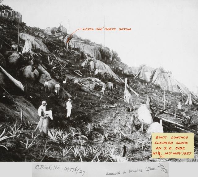 H.M. Naval Base, Singapore. Bukit Lunchoo. Cleared slope on S.E. side.