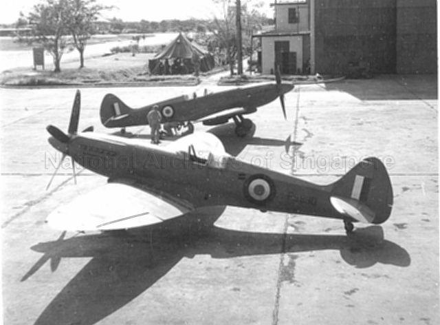 Supermarine Spitfire PS890 of No. 81 Squadron