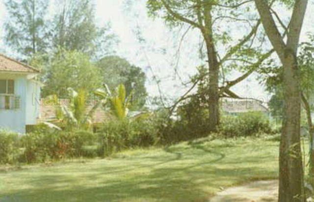 Side garden at No. 13 Oxford Street