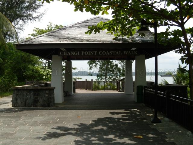 Changi Point Coastal Walk