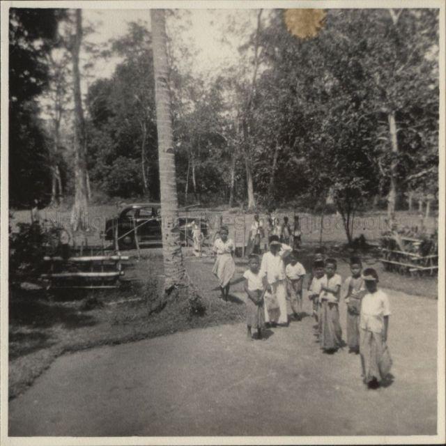 At Paya Rumput, Sg Udang