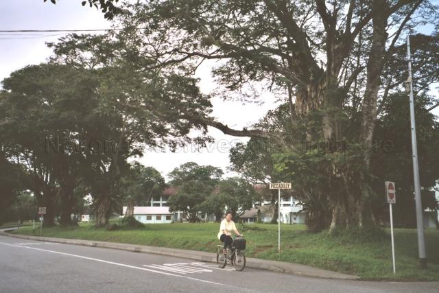 Photograph of Piccadilly Road at the Singapore Armed Forces (SAF) Seletar Camp