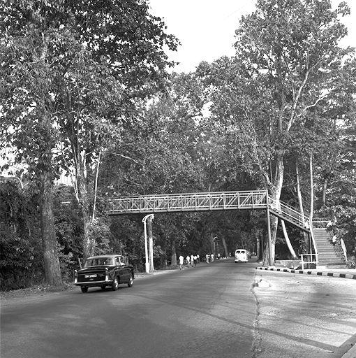 OVERHEAD BRIDGE AT STEVENS ROAD.