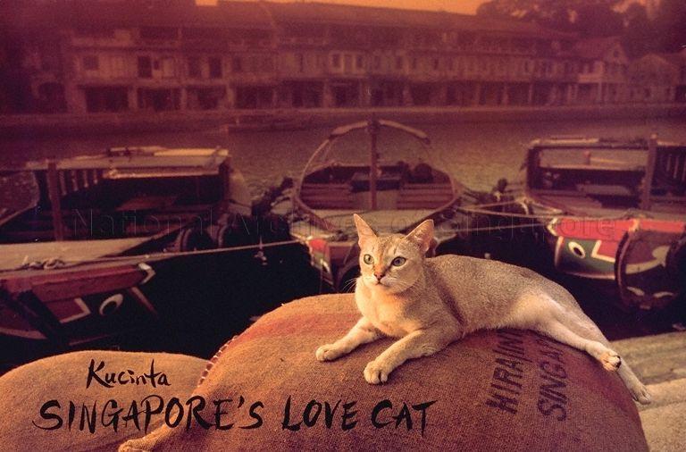 Kucinta  : Singapore's love cat