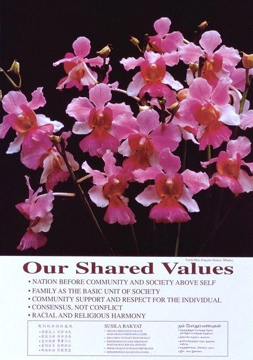 Our Shared Values . Nation Before Community And Society Above Self . Family As The Basic Unit Of Society . Community Support And Respect For The Individual . Consensus, Not Conflict . Racial And Religious Harmony (Text in English, Chinese, Malay and Tamil).