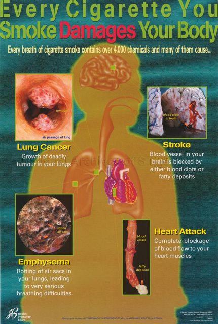 Every Cigarette You Smoke Damages Your Body
