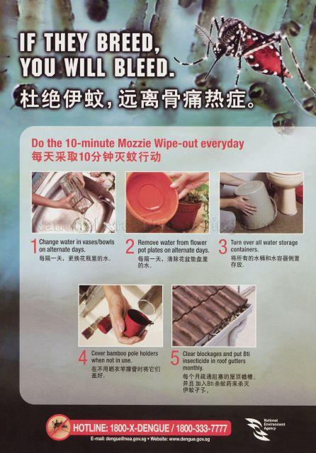 If they breed, you will bleed.  Do the 10-minute Mozzie Wipe-out everyday. (Text in English and Chinese)